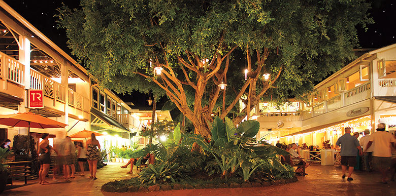 Where to Have Fun on Kauai's North and South Shores